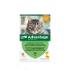 ELANCO Advantage 40 Chat/Lapin De Moins De 4 Kg