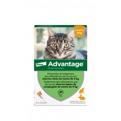 ELANCO Advantage 40 Chat/Lapin De Moins De 4 Kg