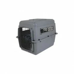 Materiel Cage Sky Kennel -nourriture pour chien boutique cage sky kennel 3