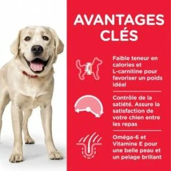nourriture pour chien boutique -nourriture pour chien boutique canine adult light large poulet 1