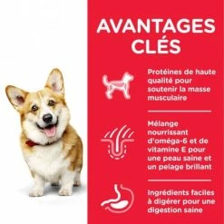 HILL'S Pet Nutrition Canine Adult Small & Mini Poulet -nourriture pour chien boutique canine adult small mini poulet 1