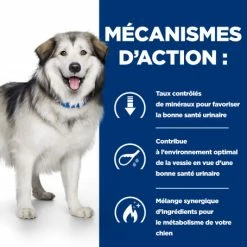 HILL'S Pet Nutrition C/d Urinary Multicare+Metabolic Croquettes Pour Chien -nourriture pour chien boutique canine c d multicare metabolic 4