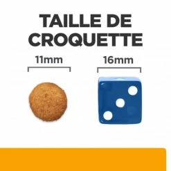 HILL'S Pet Nutrition C/d Urinary Multicare+Metabolic Croquettes Pour Chien -nourriture pour chien boutique canine c d multicare metabolic 5