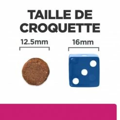HILL'S Pet Nutrition Gastrointestinal Biome Croquettes Pour Chien Au Poulet -nourriture pour chien boutique canine gastrointestinal biome poulet 5