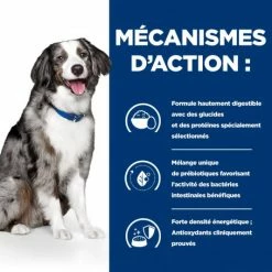 HILL'S Pet Nutrition I/D Sensitive Digestive Croquettes Pour Chien Et Chiot Oeuf & Riz -nourriture pour chien boutique canine i d sensitive digestive care activ biome 4