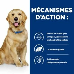 HILL'S Pet Nutrition J/D Mobility Croquettes Pour Chien Au Poulet 13 HILL'S Pet Nutrition J/D Mobility Croquettes Pour Chien Au Poulet -nourriture pour chien boutique canine j d 4