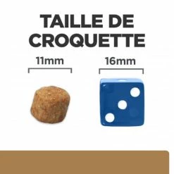 HILL'S Pet Nutrition J/D Mobility Croquettes Pour Chien Au Poulet 14 HILL'S Pet Nutrition J/D Mobility Croquettes Pour Chien Au Poulet -nourriture pour chien boutique canine j d 5
