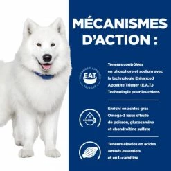 HILL'S Pet Nutrition K/D J/D Kidney+Mobility Croquettes Pour Chien 13 HILL'S Pet Nutrition K/D J/D Kidney+Mobility Croquettes Pour Chien -nourriture pour chien boutique canine k d mobility poulet 4