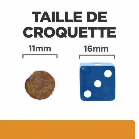 HILL'S Pet Nutrition K/D J/D Kidney+Mobility Croquettes Pour Chien 6 HILL'S Pet Nutrition K/D J/D Kidney+Mobility Croquettes Pour Chien – Image 6