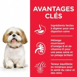 HILL'S Pet Nutrition Canine Mature Adult 7+ Small&Mini Poulet -nourriture pour chien boutique canine mature adult 7 smallmini poulet 1