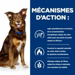 HILL'S Pet Nutrition Metabolic Croquettes Pour Chien Au Poulet 12 HILL'S Pet Nutrition Metabolic Croquettes Pour Chien Au Poulet -nourriture pour chien boutique canine metabolic 4