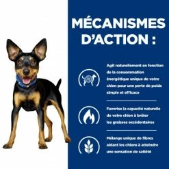 HILL'S Pet Nutrition Metabolic Mini Croquettes Pour Petit Chien Au Poulet 13 HILL'S Pet Nutrition Metabolic Mini Croquettes Pour Petit Chien Au Poulet -nourriture pour chien boutique canine metabolic mini 4
