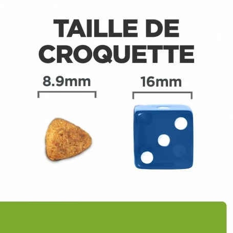 HILL'S Pet Nutrition Metabolic Mini Croquettes Pour Petit Chien Au Poulet 6 HILL'S Pet Nutrition Metabolic Mini Croquettes Pour Petit Chien Au Poulet – Image 6