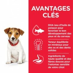 HILL'S Pet Nutrition Canine Puppy Small&Mini Poulet -nourriture pour chien boutique canine puppy smallmini poulet 1