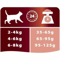 PURINA PRO PLAN Cat Adult Optirenal Saumon & Riz -nourriture pour chien boutique cat adult salmon rice 2