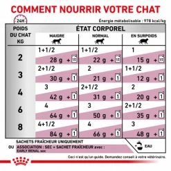ROYAL CANIN Cat Early Renal Sachet Repas 14 ROYAL CANIN Cat Early Renal Sachet Repas -nourriture pour chien boutique cat early renal sachet repas 4