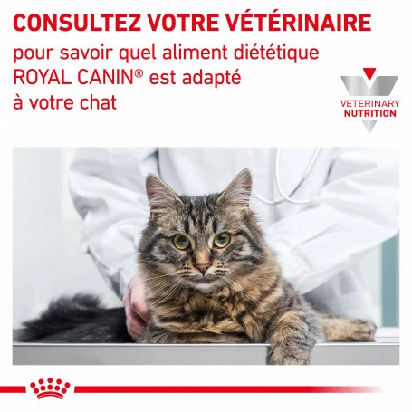 ROYAL CANIN Cat Early Renal Sachet Repas 8 ROYAL CANIN Cat Early Renal Sachet Repas – Image 8