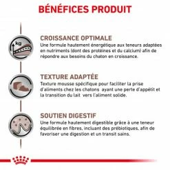ROYAL CANIN Cat Gastro Intestinal Kitten Boîte 8 ROYAL CANIN Cat Gastro Intestinal Kitten Boîte -nourriture pour chien boutique cat gastro intestinal kitten boite 1