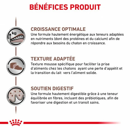 ROYAL CANIN Cat Gastro Intestinal Kitten Boîte 2 ROYAL CANIN Cat Gastro Intestinal Kitten Boîte – Image 2