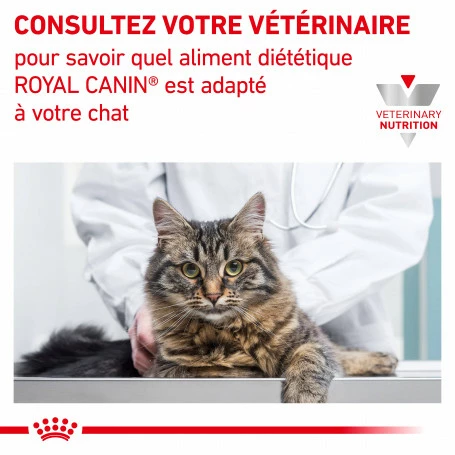 ROYAL CANIN Cat Gastro Intestinal Kitten Boîte 6 ROYAL CANIN Cat Gastro Intestinal Kitten Boîte – Image 6