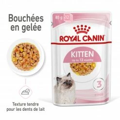 Cat Kitten Royal Canin Emincé En Gelée Sachet Repas 11 Cat Kitten Royal Canin Emincé En Gelée Sachet Repas -nourriture pour chien boutique cat kitten royal canin emince en gelee sachet repas 2
