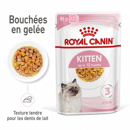 Cat Kitten Royal Canin Emincé En Gelée Sachet Repas 3 Cat Kitten Royal Canin Emincé En Gelée Sachet Repas – Image 3