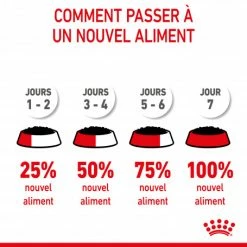 Cat Kitten Royal Canin Emincé En Gelée Sachet Repas 13 Cat Kitten Royal Canin Emincé En Gelée Sachet Repas -nourriture pour chien boutique cat kitten royal canin emince en gelee sachet repas 4