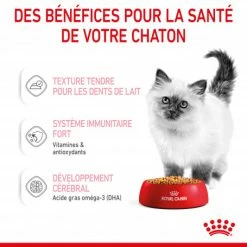 Cat Kitten Royal Canin Emincé En Gelée Sachet Repas 15 Cat Kitten Royal Canin Emincé En Gelée Sachet Repas -nourriture pour chien boutique cat kitten royal canin emince en gelee sachet repas 6