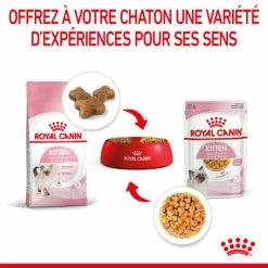 Cat Kitten Royal Canin Emincé En Gelée Sachet Repas 16 Cat Kitten Royal Canin Emincé En Gelée Sachet Repas -nourriture pour chien boutique cat kitten royal canin emince en gelee sachet repas 7