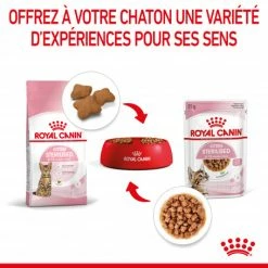 Cat Kitten Stérilisé Royal Canin Emincé En Sauce Sachet Repas 13 Cat Kitten Stérilisé Royal Canin Emincé En Sauce Sachet Repas -nourriture pour chien boutique cat kitten royal canin emince en sauce sachet repas 4