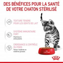 Cat Kitten Stérilisé Royal Canin Emincé En Sauce Sachet Repas 14 Cat Kitten Stérilisé Royal Canin Emincé En Sauce Sachet Repas -nourriture pour chien boutique cat kitten royal canin emince en sauce sachet repas 5