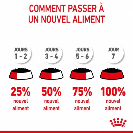 Cat Kitten Stérilisé Royal Canin Emincé En Sauce Sachet Repas 7 Cat Kitten Stérilisé Royal Canin Emincé En Sauce Sachet Repas – Image 7