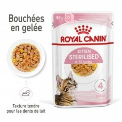Cat Kitten Sterilised Royal Canin Emincé En Gelée Sachet Repas -nourriture pour chien boutique cat kitten sterilised royal canin eminen gelee sachet repas 2