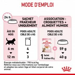 Cat Kitten Sterilised Royal Canin Emincé En Gelée Sachet Repas -nourriture pour chien boutique cat kitten sterilised royal canin eminen gelee sachet repas 4