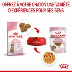 Cat Kitten Sterilised Royal Canin Emincé En Gelée Sachet Repas -nourriture pour chien boutique cat kitten sterilised royal canin eminen gelee sachet repas 7