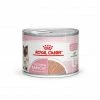 ROYAL CANIN Cat Mother & Babycat Boîte
