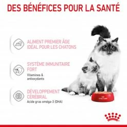 ROYAL CANIN Cat Mother & Babycat Boîte -nourriture pour chien boutique cat mother babycat boite 3