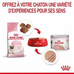 ROYAL CANIN Cat Mother & Babycat Boîte -nourriture pour chien boutique cat mother babycat boite 4