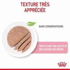 ROYAL CANIN Cat Mother & Babycat Boîte -nourriture pour chien boutique cat mother babycat boite 5