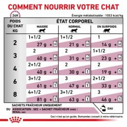 ROYAL CANIN Cat Renal Poulet Mousse Sachet Repas -nourriture pour chien boutique cat renal poulet mousse sachet repas 3