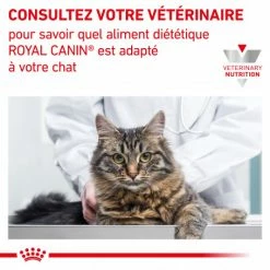 ROYAL CANIN Cat Renal Poulet Mousse Sachet Repas -nourriture pour chien boutique cat renal poulet mousse sachet repas 6