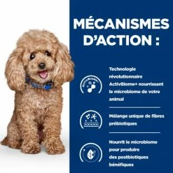 HILL'S Pet Nutrition Gastrointestinal Biome Mini Croquettes Pour Petit Chien Au Poulet -nourriture pour chien boutique chien gastrointestinal biome mini poulet 4