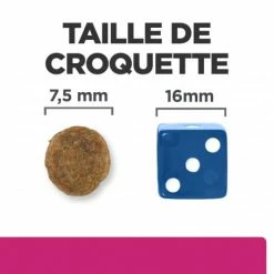 HILL'S Pet Nutrition Gastrointestinal Biome Mini Croquettes Pour Petit Chien Au Poulet -nourriture pour chien boutique chien gastrointestinal biome mini poulet 5