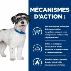 HILL'S Pet Nutrition J/d Metabolic+Mobility Mini Croquettes Pour Petit Chien Au Poulet -nourriture pour chien boutique chien j d metabolicmobility mini poulet 3