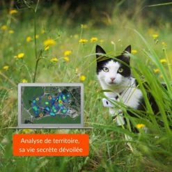 Materiel Collier GPS Weenect Cats 2 Pour Chat -nourriture pour chien boutique collier gps weenect cats 2 pour chat 4