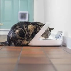 Materiel Distributeur Automatique De Nourriture SureFeed Connect -nourriture pour chien boutique distributeur automatique de nourriture surefeed connect 5