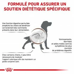 ROYAL CANIN Dog Gastro Intestinal Moderate Calorie -nourriture pour chien boutique dog gastro intestinal moderate calorie 1
