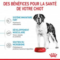 ROYAL CANIN Dog Junior Giant -nourriture pour chien boutique dog junior giant 3