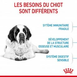 ROYAL CANIN Dog Junior Giant -nourriture pour chien boutique dog junior giant 4