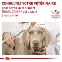ROYAL CANIN Dog Mobility Support 14 ROYAL CANIN Dog Mobility Support -nourriture pour chien boutique dog mobility support 6